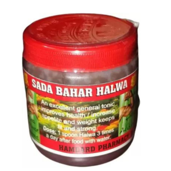 Health Tone Sada Bahar Natural Weight gain Halwa (70 g)